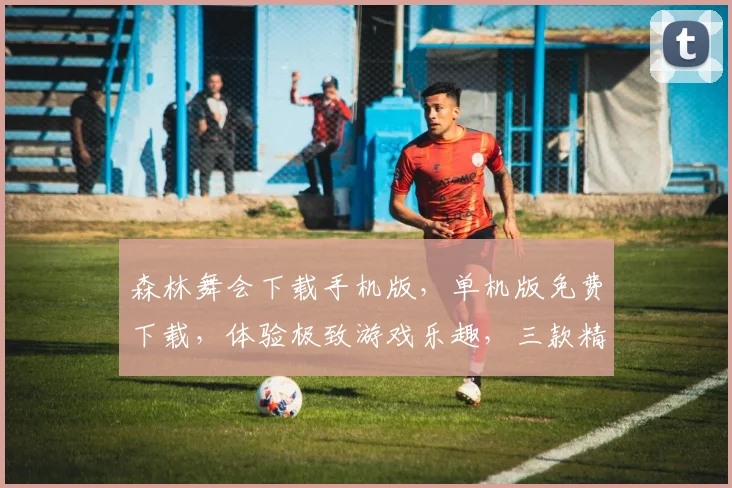 森林舞会下载手机版，单机版免费下载，体验极致游戏乐趣，三款精选，不容错过