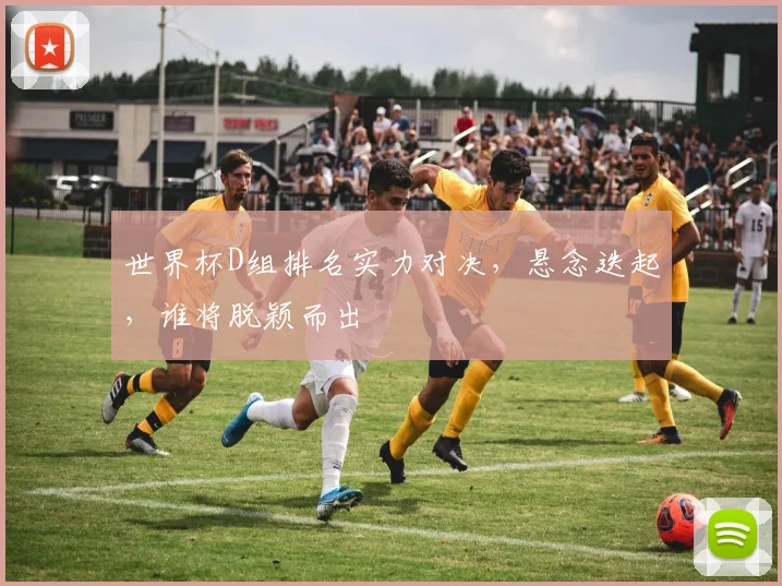 世界杯D组排名实力对决，悬念迭起，谁将脱颖而出